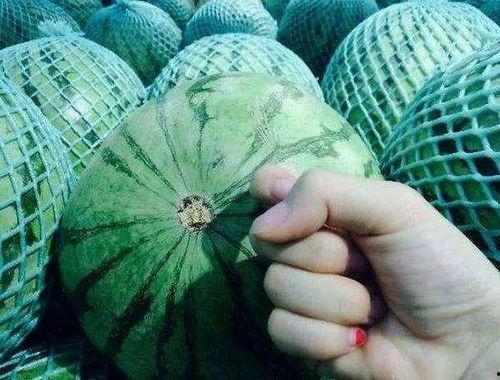 圣都吃瓜,揭秘吃瓜群众的狂欢盛宴