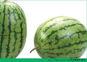 吃瓜篓子过敏,健康饮食中的隐藏风险