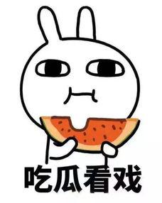 带你吃瓜套娃,带你走进“带你吃瓜套娃”的奇幻世界