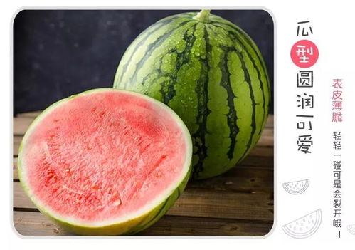 吃瓜界爆瓜,揭秘娱乐圈最新爆瓜事件