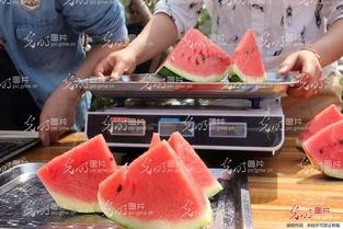 聊城校园吃瓜事件,揭秘校园网络暴力背后的真相