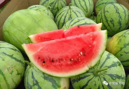 上迪吃瓜投稿,揭秘娱乐圈幕后故事