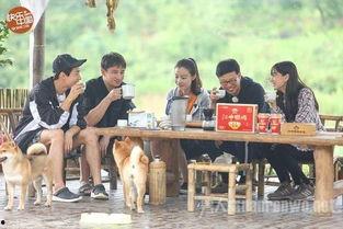 吃瓜向往的生活,揭秘向往的生活背后的真实故事