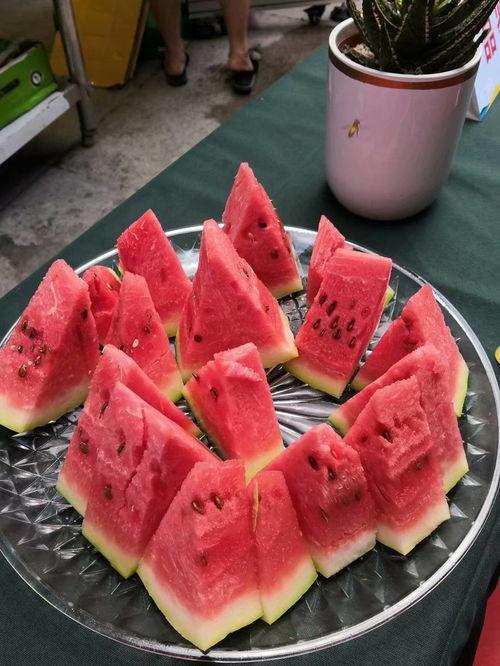 重庆教师吃瓜,一场“吃瓜”背后的校园饮食安全探讨