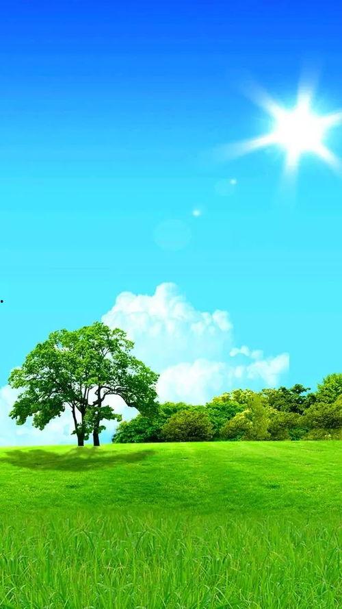 白云晴空吃瓜视频