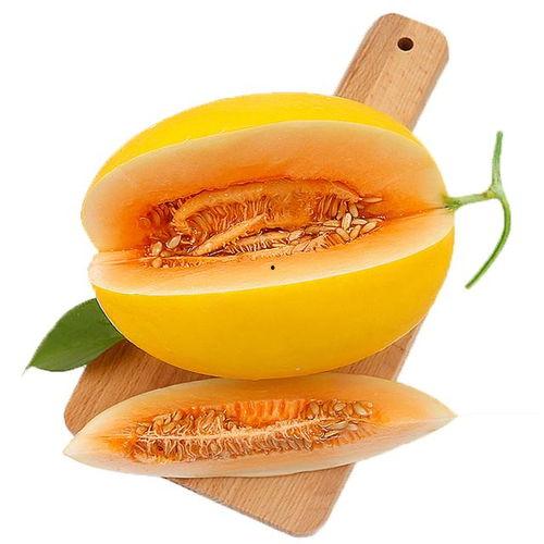 吃蜜瓜突然好苦,揭秘甜蜜背后的意外转折