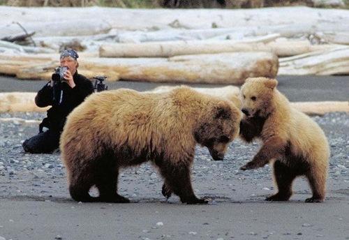 同性熊圈吃瓜,揭秘网络社交圈的甜蜜瓜田