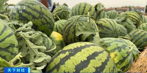 吃瓜视频直链,带你走进热门短视频背后的秘密