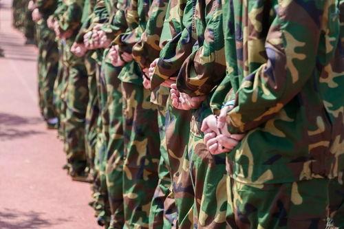 吃瓜蓝迷彩跳舞,一场别开生面的舞蹈盛宴