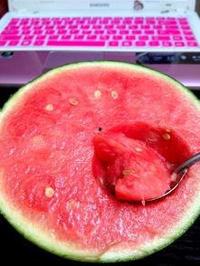 开门吃瓜日记,揭秘日常生活中的趣味事件