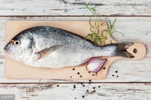 八瓜鱼足怎么吃,八瓜鱼足的多样美味烹饪法揭秘