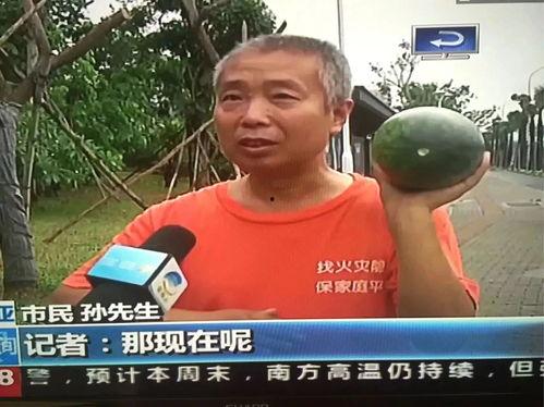 苍山吃瓜群众事件,一场网络舆论的风暴与反思