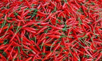 李温柔利川吃瓜,揭秘娱乐圈幕后故事