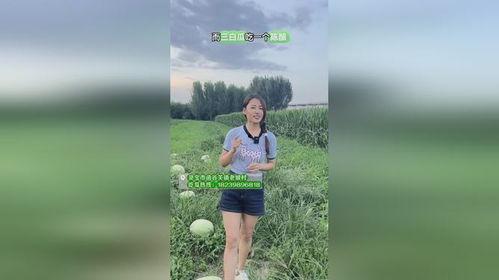 吃瓜群众看世界,吃瓜群众视角下的世界万象