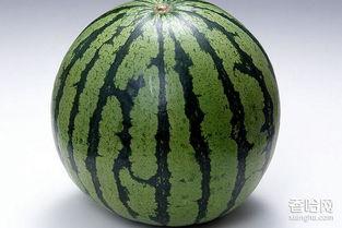 产妇吃梨瓜,梨瓜的营养与食用指南