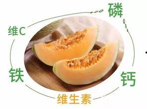 西州蜜瓜热吃,热食新风尚，甜蜜暖意满人间