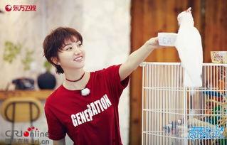 王源吃瓜前线,揭秘娱乐圈幕后故事