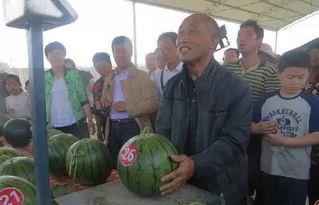 河津吃瓜群众,吃瓜群众的热议焦点