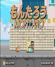 网址吃瓜,从网址看娱乐八卦的狂欢盛宴