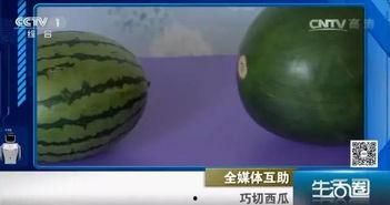 吃瓜不吐籽68,一场关于瓜果与人生的趣味对话