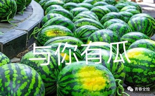 各大学校的吃瓜视频,各大学校热门视频盘点