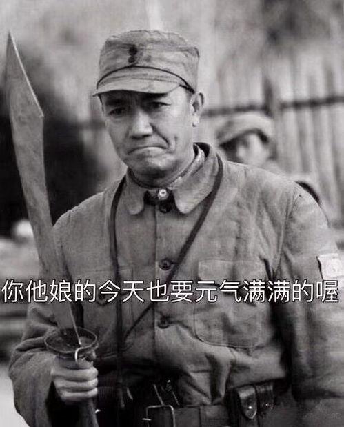 吃瓜der苏沫甜,揭秘娱乐圈甜蜜瓜果背后的故事