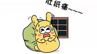 吃瓜群众七七,网络红人的崛起与影响力